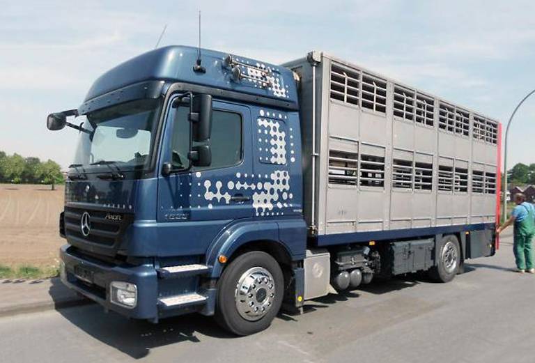 Транспортировать корову недорого из Лихославля в Наро-Фоминск